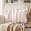 DEELAND Pack of 2,Double-Sided Faux Fur Plush Decorative Throw Pillow