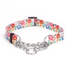 haoyueer Martingale Dog Collar - Stainless Steel Chain, No Pull