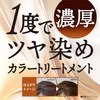 Salon de Pro Hair Dye Dressy Color Treatment, Natural Brown,