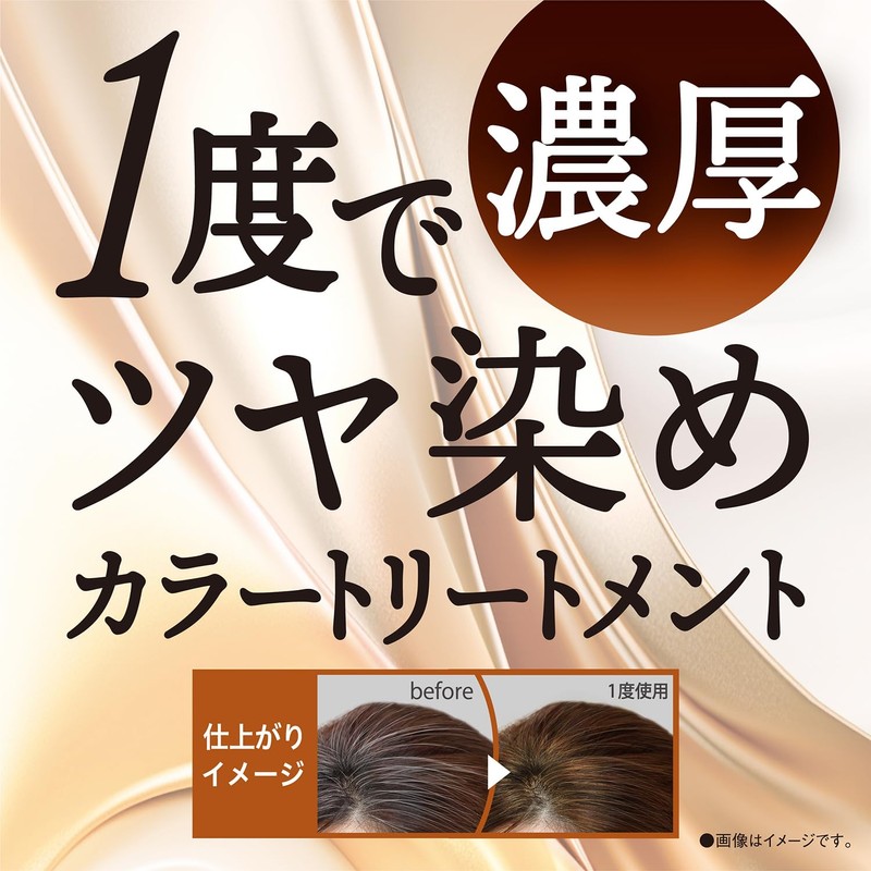 Salon de Pro Hair Dye Dressy Color Treatment, Natural Brown,