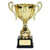 TROPHIESPLUSMEDALS Link Gold Presentation Cup with Handles - 30.5 cm / 12" |Stylish Look with a Black Base | Ideal for Celebrating Sports & Personal Achievements