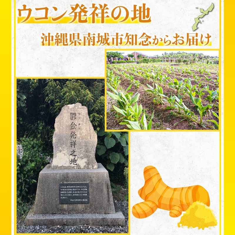 Nnakazen 強王 650粒 紫・秋・春うっちんをブレンドした錠剤 バランスよくウコンサプリを取り方に 秋・春・紫ウコン配合