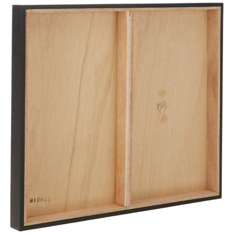 FUJICOLOR 700163 Frame Mat Panel DX 4 Pieces Wood Black