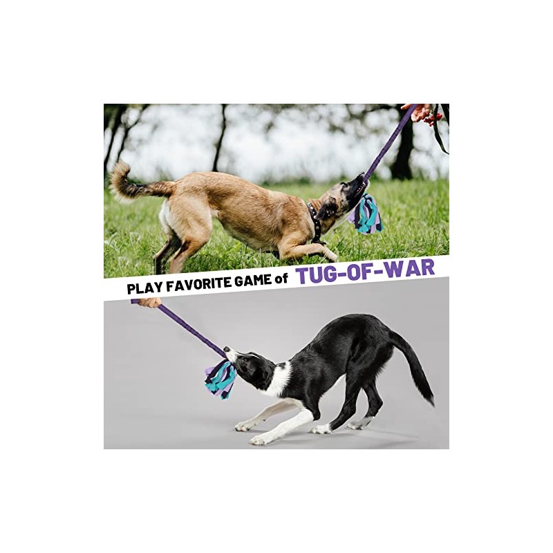 Juguete de tirón para perros (morado)