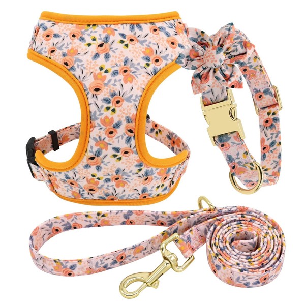 Beirui Cute Girl Dog Collars, Harnesses & Leashes Set -