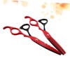 FOMIYES 2PCS Premium Hairdressing Scissors Barber Shears Thinning Shears for