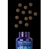 Vitawell Sea Moss Gummies 60s