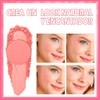 SANIYE Pure Mineral Rubor en Polvo Compacto Textura Ultrafina Color