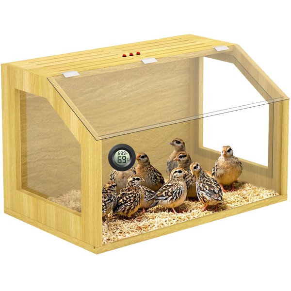 Chick Brooder Box 24", Up to 25 Chicks, Small Chicken