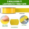 2 Rolls Double-Sided Yellow Sticky Tree Tape 2 Inch Wide