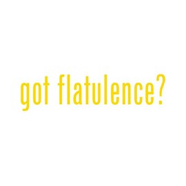 RDW Got Flatulence ? Sticker - Decal - Die Cut - Gases Digestion Fart - Yellow Gold 24.00" x 6.35"