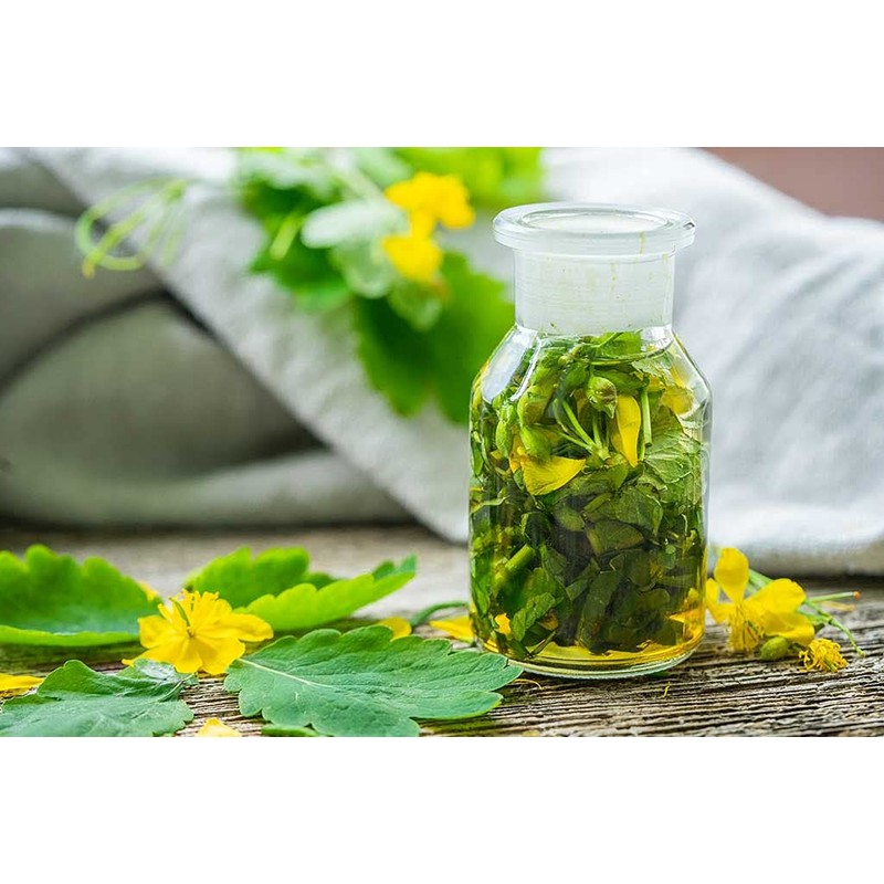 Hypericum Witch's Grass, Wartweed Cream / Celidonium Majus - Chelodini