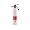 First Alert REC5 Recreation Fire Extinguisher, UL Rated 5-B:C, White,