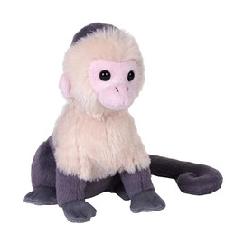 Wild Republic Rainforest White Face Capuchin, Stuffed Animal, 6 Inches, Plush Toy, Fill is Spun Recycled Water Bottles