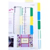 4A Durable File Tabs,Divider Tabs,with PP Ruler,Page Marker Index Label