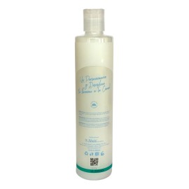 Shampoo Coco Shelo Nabel 530ml