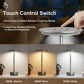 FDIDC Rechargeable Cordless Table Lamps, 5000mAh Portable LED Table Light, 3 Color Stepless Dimming Battery Powered Metal Table Lamp for Outdoor Patio/Bedroom/Restaurant.(Silver)