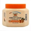 살구 스크럽 마사지크림 에코살롱 500g JWFGE6BL Apricot Scrub Massage Cream Eco Salon 500g JWFGE6BL