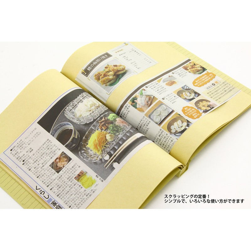 Lion Office Equipment Scrapbook A4S No.550 Craft