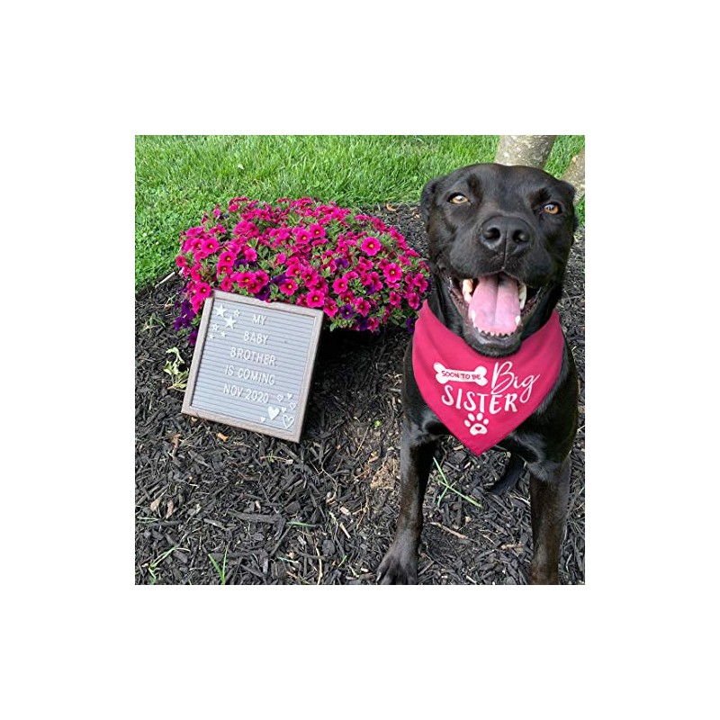 Big Sister Dog Bandana,Reversible Triangle Bibs Pet Scarf