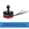 KSX3567 RS2205 2300KV 2205 CCW Brushless Motor Quad Drive Motor