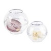 Relaxdays Onion Container, Set of 2, Food Storage Balls Garlic