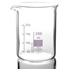 Glasses, Tumbler 250 ml Beaker Low Form, with Moulded Spout