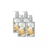 The Botanic 2+2 더 보태닉 우디 머스크 바디워시 350ml 2+2 The Botanic Woody Musk Body Wash 350ml [Plus Two Botanic Woody Musk Body Wash 350ml]