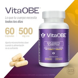 Suplemento Alimenticio Multivitamínico con Minerales | 60 Cápsulas de Celulosa Vegetal | Fórmula con Vitaminas A, C, D3, Complejo B, Zinc, Magnesio y 