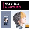 Hair Color Beauty Teen Makeup Color Metallic Ash 1pc (x1)