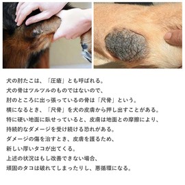 KUVEELA PET Dog Clothing, Long Sleeve, Dog Clothing, Joint Protection, Inflammation of Joints, Elderly Aid, Cover Clothes, Forefoot Support, Protective Clothes, Male, Female, Medium Dogs, Large Dogs,