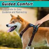 BARKBAY Dog Harness No Pull for Large Dogs - Adjustable,