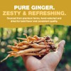 HANDPICK, Organic Ginger Tea Bags (100 Herbal Tea Bags), Caffeine