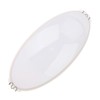 High Temperature Resistant Sauna Lamp Shade Explosion Proof Sauna Lampshade
