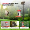 Hummingbird Feeder with Camera, AI Smart Identification Cloud Storage Function,