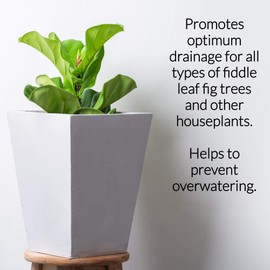 Fiddle Leaf Fig House Plant Soil Premium All Purpose Blend | Large 2.2 Quarts | Ready to Use for Indoor Houseplants | Peat, Sawdust, Course Sand and Pinebark | Made in USA