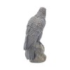 Nemesis Now Ravens Rest Figurine 20cm Black