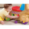 Andadera Para Bebés Fisher-price Perrito Camina Conmigo Multicolor (Usado)