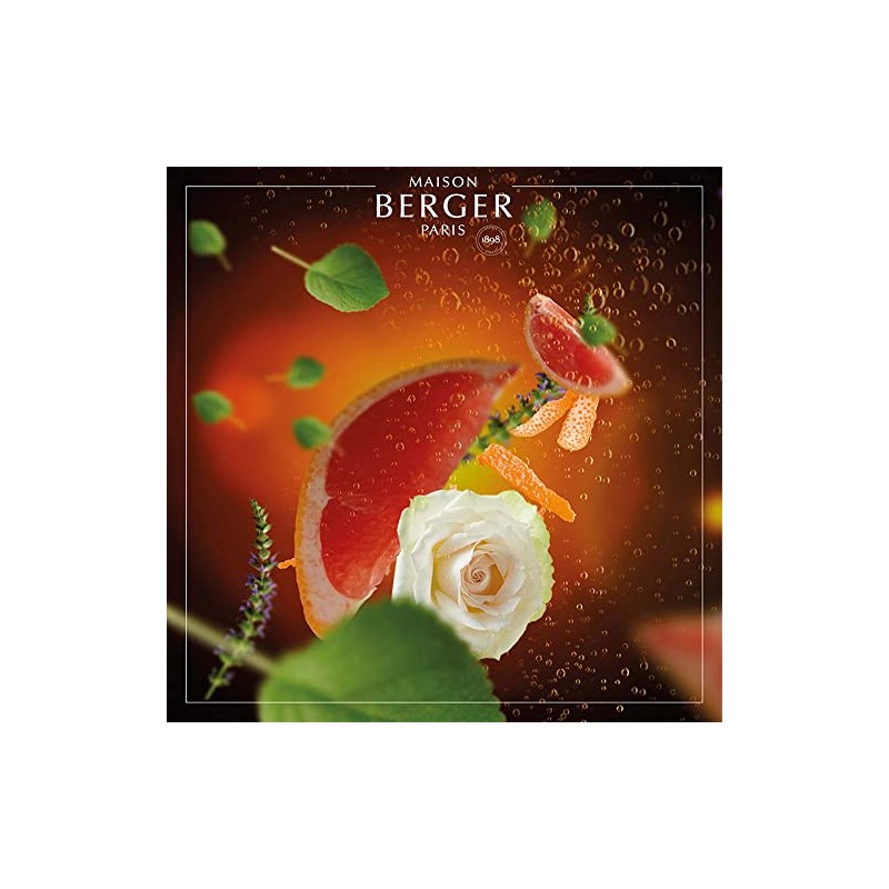 Exquisite Sparkle Scented Bouquet Refill 200ml