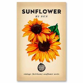 The Little Veggie Patch Co Sunflower 'Hi-Sun' Heirloom Seeds, 1 pack