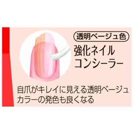 ビューティ ワールド 強化ネイルコンシーラー クリア 10ミリリットル (x 1)