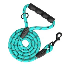 PHOEPET 5 Feet Dog Leash Reflective Heavy Duty Padded Rubber Handle 360° No Tangles for Small Medium and Large Dogs(Mint Green)