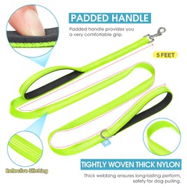 BAAPET Two Handle Dog Leash, Dual Soft Padded Handles with Traffic Control Handle Leash for Small Medium or Large Dogs (3/4'' x 5 FT, Green)