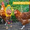 BNOSDM 5 Packs Chicken Xylophone Toy for Hens Chicken Mirror