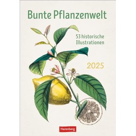 Bunte Pflanzenwelt Wochenplaner 2025 - 53 historische Illustrationen: 53 historische Tafeln zum Bestaunen in einem Wandkalender 2025 zum Eintragen. ... und Kunstbegeisterte (Wochenplaner Harenberg)