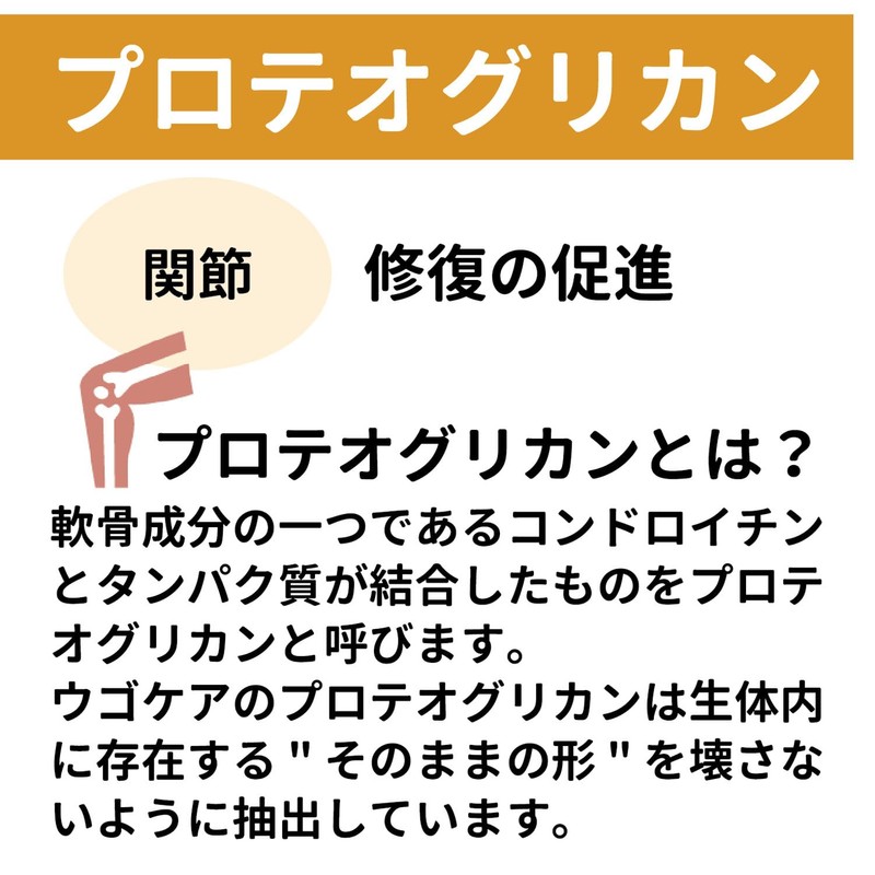 ケンコーハイチ ウゴケア 37.8g 30包