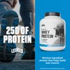 Levels Grass Fed Whey Protein Powder, No Artificials, 25G of
