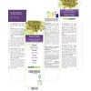 Fennel (Foeniculum vulgare) Fruits Alcohol-Free Mother Tincture Naturalma Liquid Extract