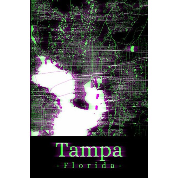 Tampa Florida: Your city, your region, your home! | Composition