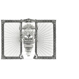 Goes 368 Blank Stock Certificate, Certificate Paper Stock, Size 8-1/2" x 15", Printable, Laser or Ink Jet Compatiable (Pack of 5)